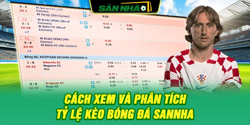 cach-xem-va-phan-tich-ty-le-keo-bong-da-sannha