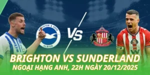 nhan-dinh-bong-da-brighton-vs-sunderland