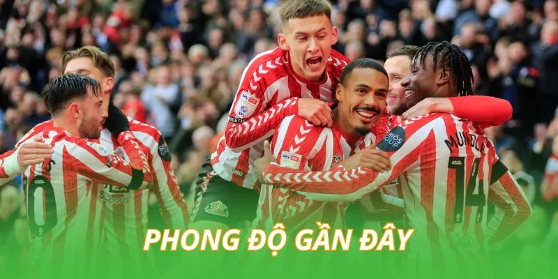 phong-do-gan-day-cua-brighton-vs-sunderland